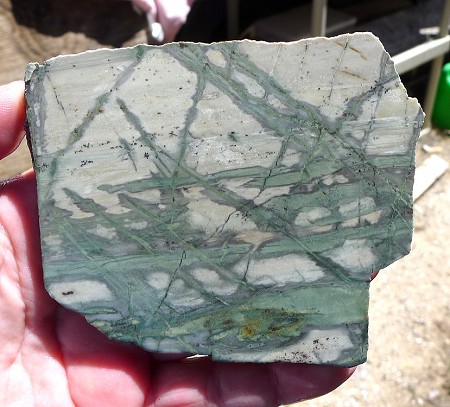 Green Picasso Jasper Slab 