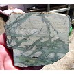 Green Picasso Jasper Slab 