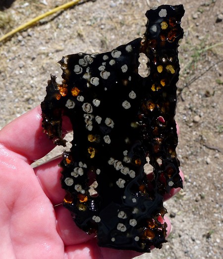 Popcorn Obsidian Slab 113x63x6.8mm 