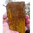Coquina Jasper Slab 123x73x6.2mm 