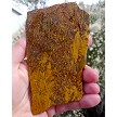 Fossil Stone Slab 