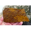 Elephant Skin Jasper 