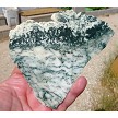 Tree Agate Slab 
