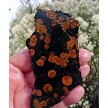 Peanut Obsidian Slice 