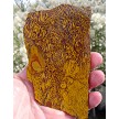 Coquina Jasper Slab 125x72x6.2mm 