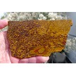 Elephant Skin Jasper 