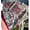Porcelain Jasper Slice 