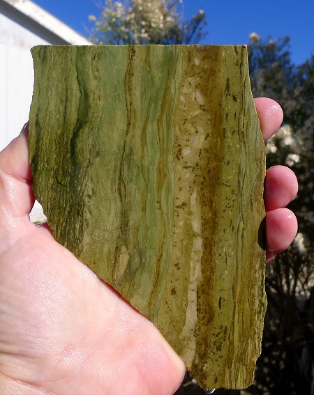 Lizard Skin Jasper Slab 139x95x7.3mm 