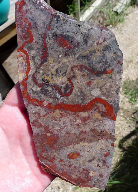 Canelo Rhyolite Slab 