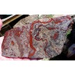 Canelo Jasper Slab 