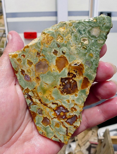 Rainforst Jasper Slab with Druzy Pockets 
