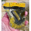 Bumblebee Jasper Slice 