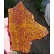 Coquina Jasper Slab 