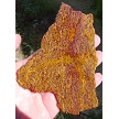 Fossil Stone Slab 