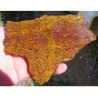 Elephant Skin Jasper 