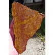 Fossil Stone Slab 