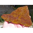 Elephant Skin Jasper 