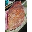 Rafael Jasper Slice 