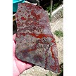 Canelo Rhyolite Slab 