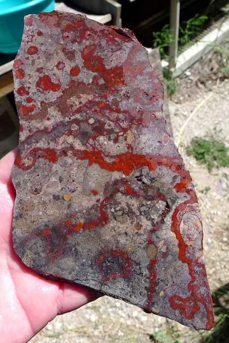 Canelo Rhyolite Slab 