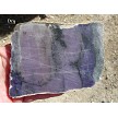 Purple Strombolite Slice 