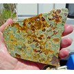 Rainforsest Jasper Slice 