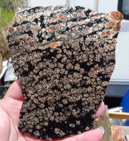Flower Obsidian Slab 