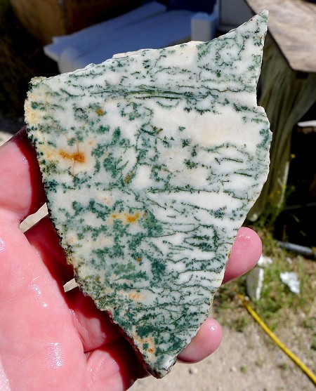 Tree Agate Slab 