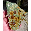 Agatized Rainforest Rhyolite Slab with Druzy 
