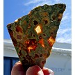 Rainforsest Jasper Slice 