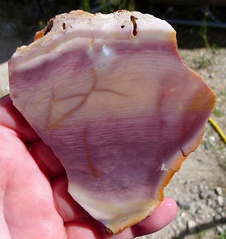 Purple Polychrome Jasper Slab 95x82x5.9mm 
