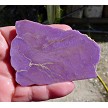 Phosphosiderite Slab 