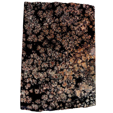 Flower Obsidian Slab 92mm x 62mm x 6.5mm 