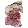 Dendritic Pink Plume Jasper Slab 139x96x7.1mm 