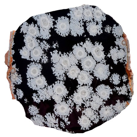 Snowflake Obsidian Slab 104mm x 104mm x 6.2mm 