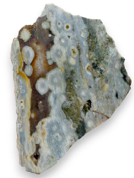 Ocean Jasper Slab 